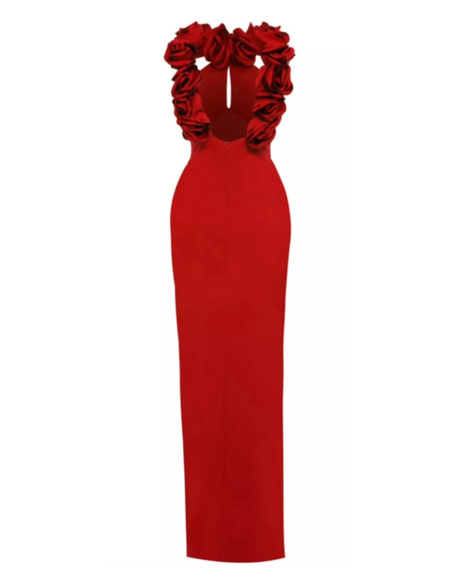Amy red Bodycon Dress