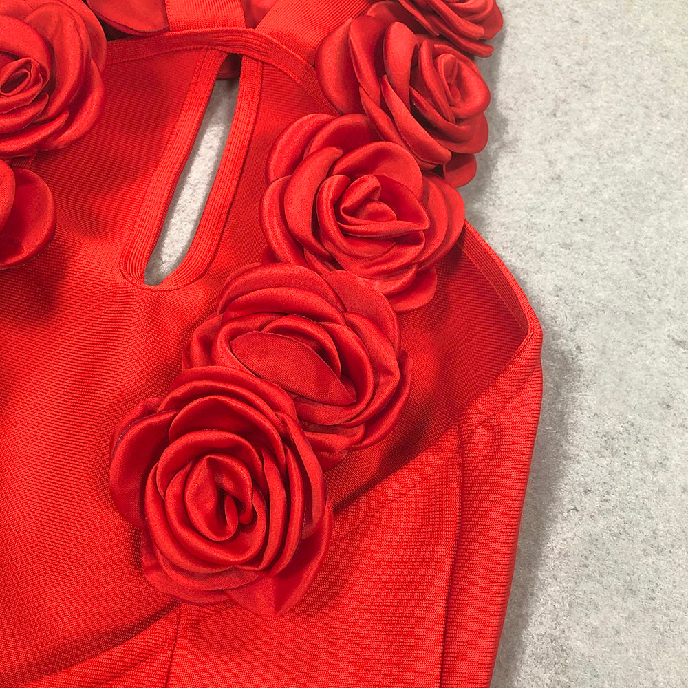 Amy red Bodycon Dress
