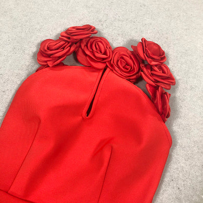 Amy red Bodycon Dress